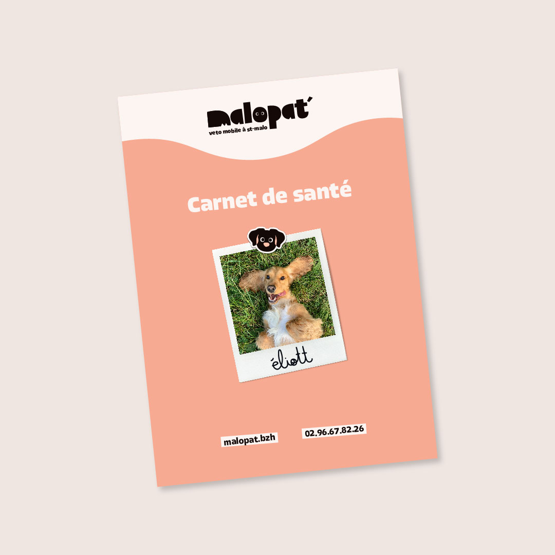 Découvrez notre dernier projet : MaloPat’, vétérinaire mobile à Saint-Malo ! Lunéa Studio, agence graphique santé, bien-être, cosmétique. Identité visuelle, logo, stickers, illustration, branding.