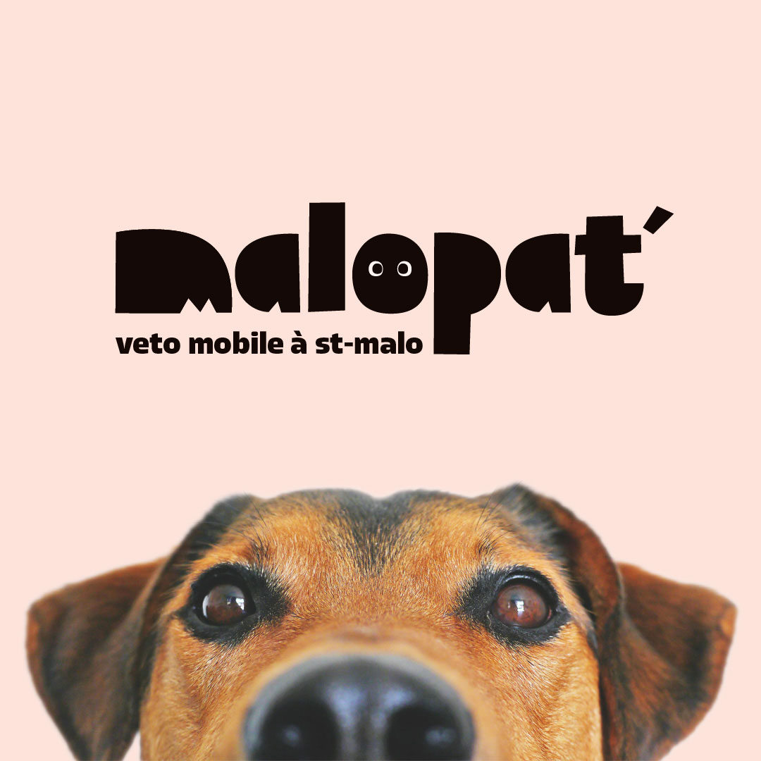 Découvrez notre dernier projet : MaloPat’, vétérinaire mobile à Saint-Malo ! Lunéa Studio, agence graphique santé, bien-être, cosmétique. Identité visuelle, logo, stickers, illustration, branding.
