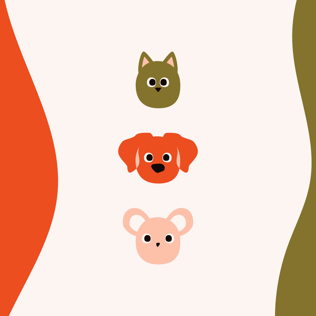 Découvrez notre dernier projet : MaloPat’, vétérinaire mobile à Saint-Malo ! Lunéa Studio, agence graphique santé, bien-être, cosmétique. Identité visuelle, logo, stickers, illustration, branding.