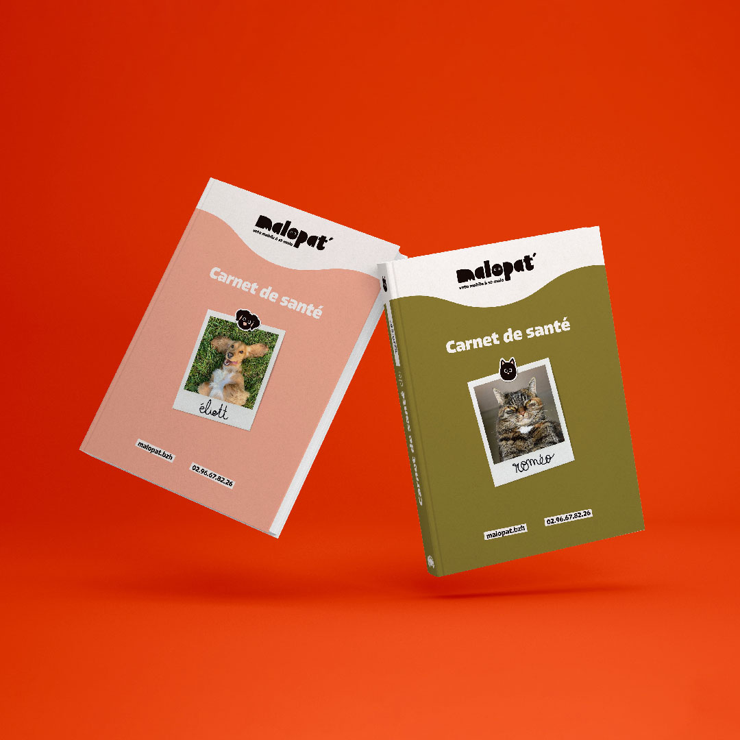Découvrez notre dernier projet : MaloPat’, vétérinaire mobile à Saint-Malo ! Lunéa Studio, agence graphique santé, bien-être, cosmétique. Identité visuelle, logo, stickers, illustration, branding.