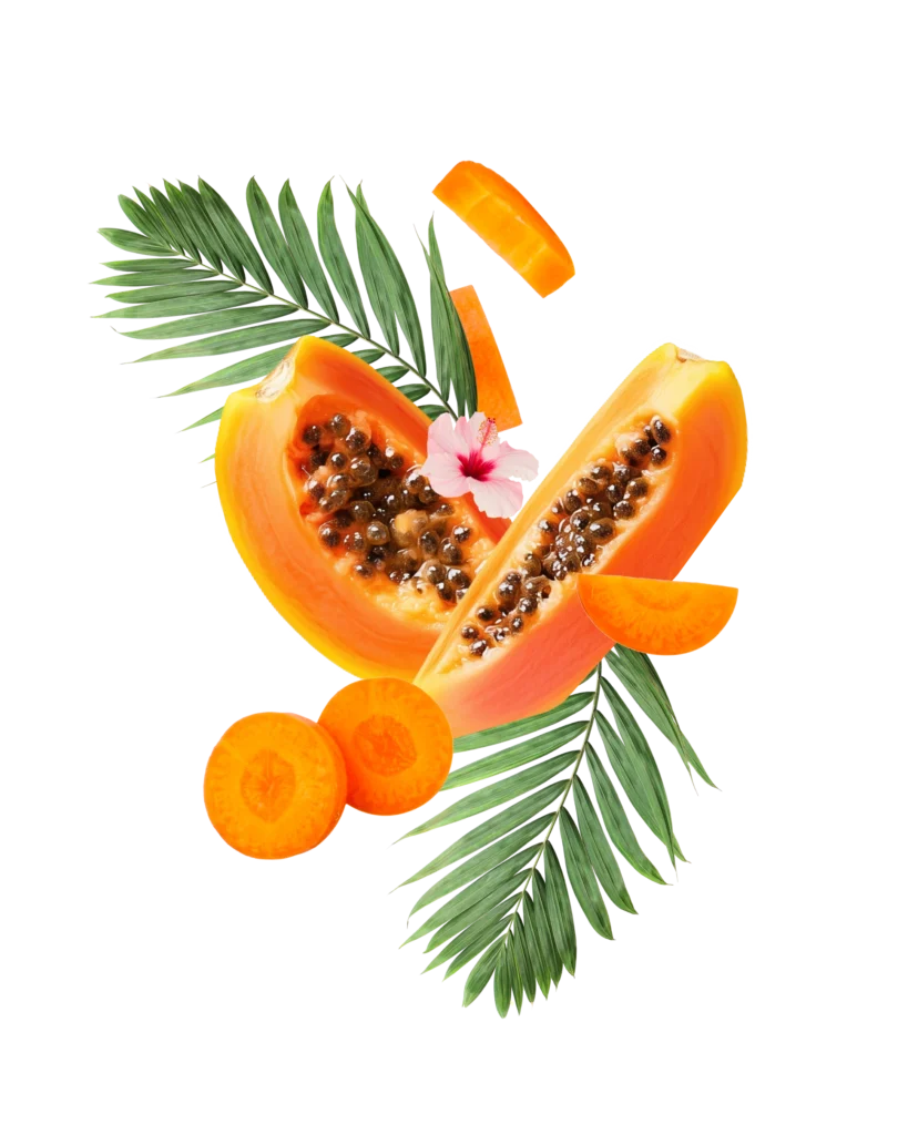 Illustration pour Guadeliss cosmetique, fait par Lunéa Studio