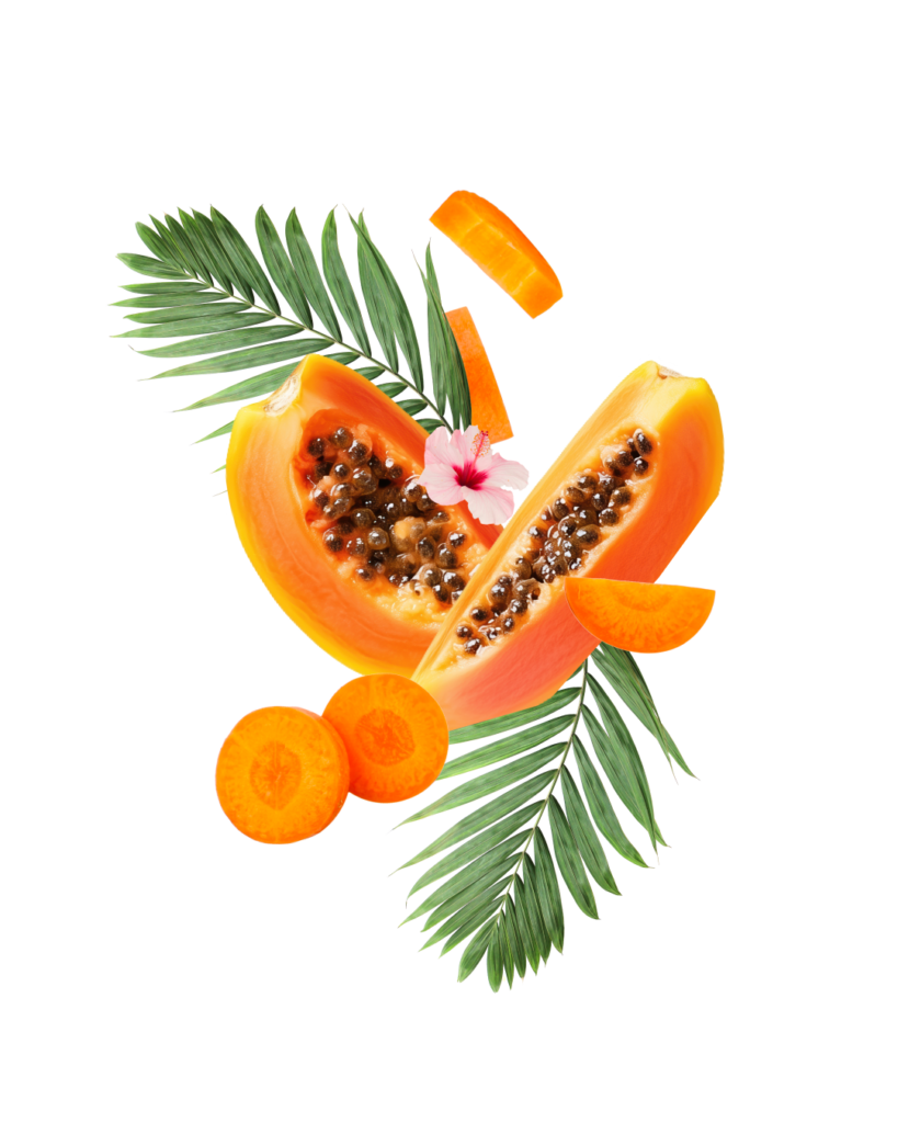 Illustration pour Guadeliss cosmetique, fait par Lunéa Studio