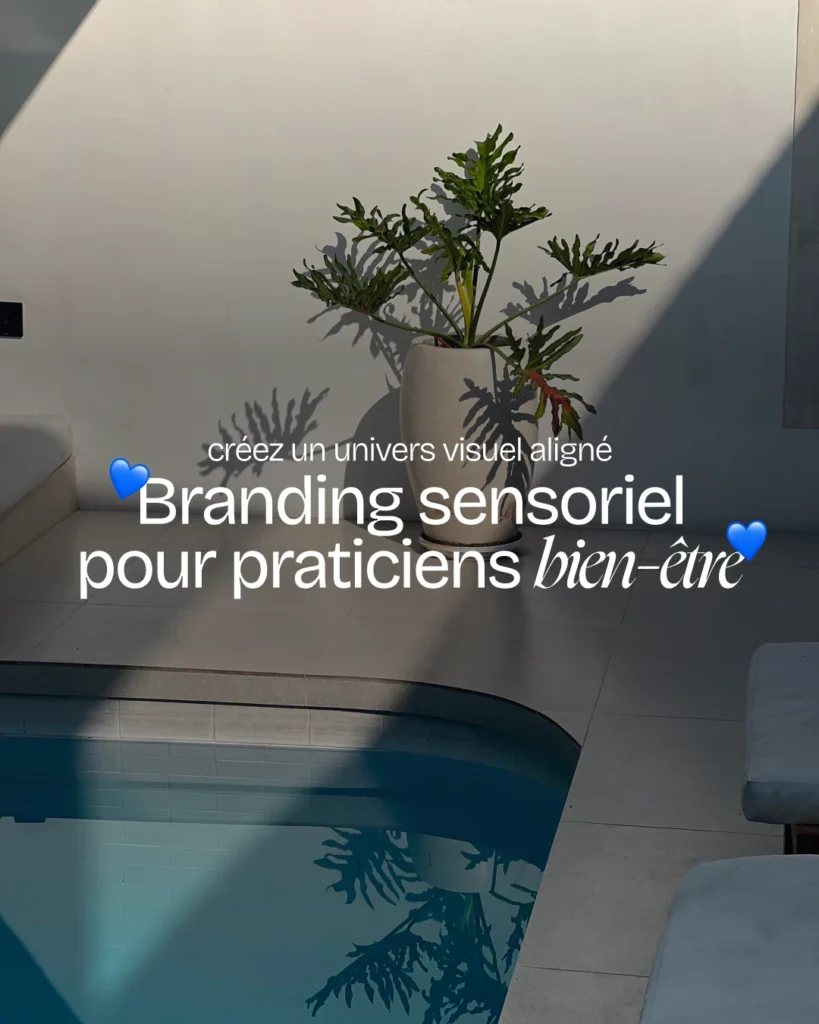 lunea studio tendances branding sensoriel bien etre