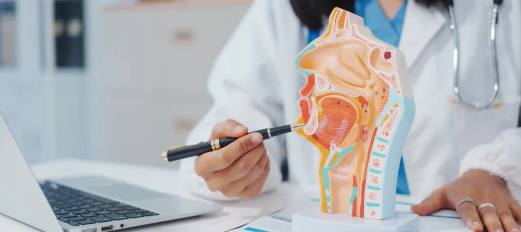 lunea studio agence graphique communication praticien proffession liberale sante