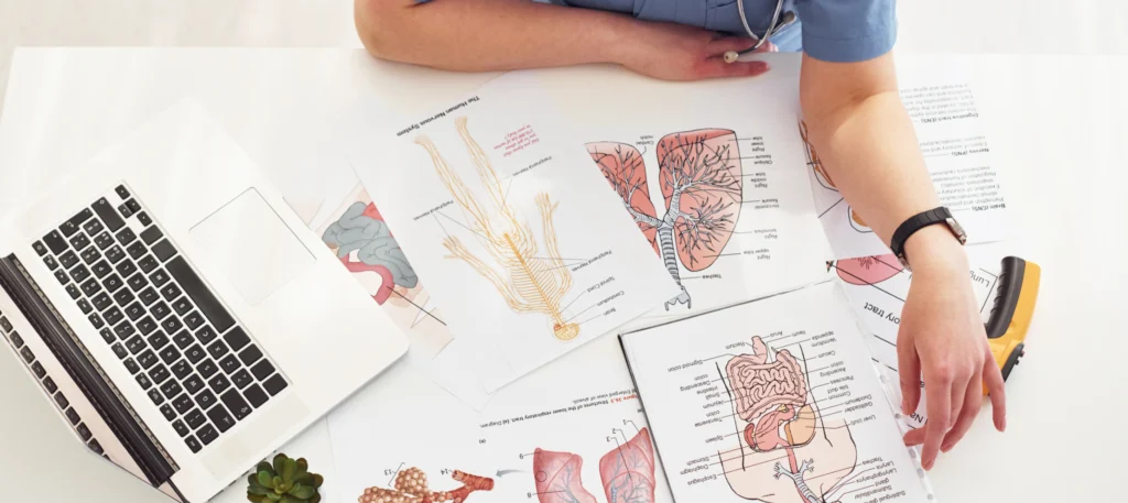 lunea studio agence graphique communication praticien proffession liberale sante